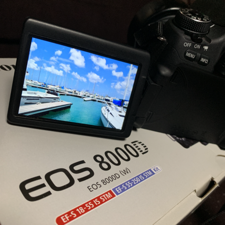 Canon EOS 8000D 単焦点レンズ付き